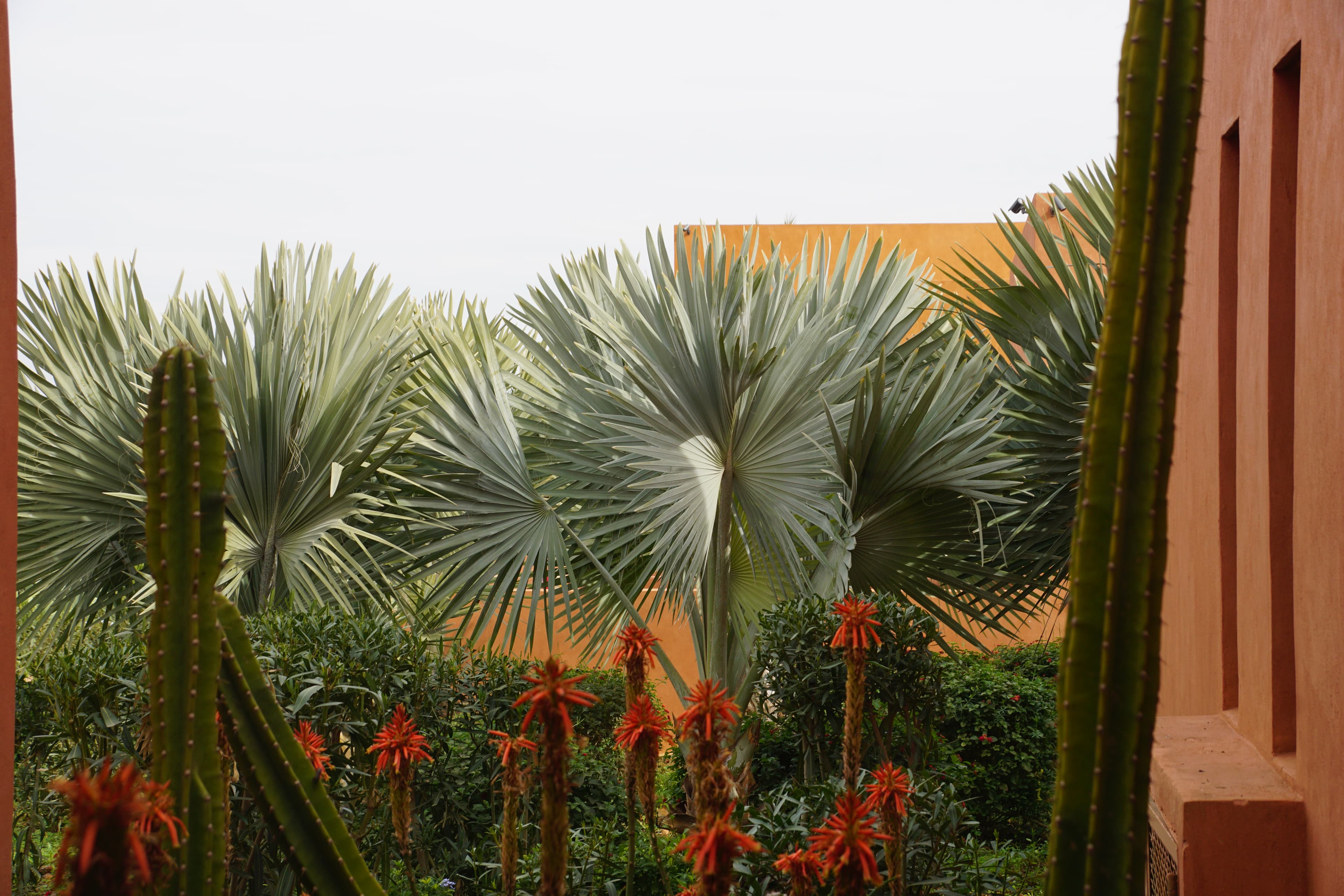 /features/garden/garden-2.jpg