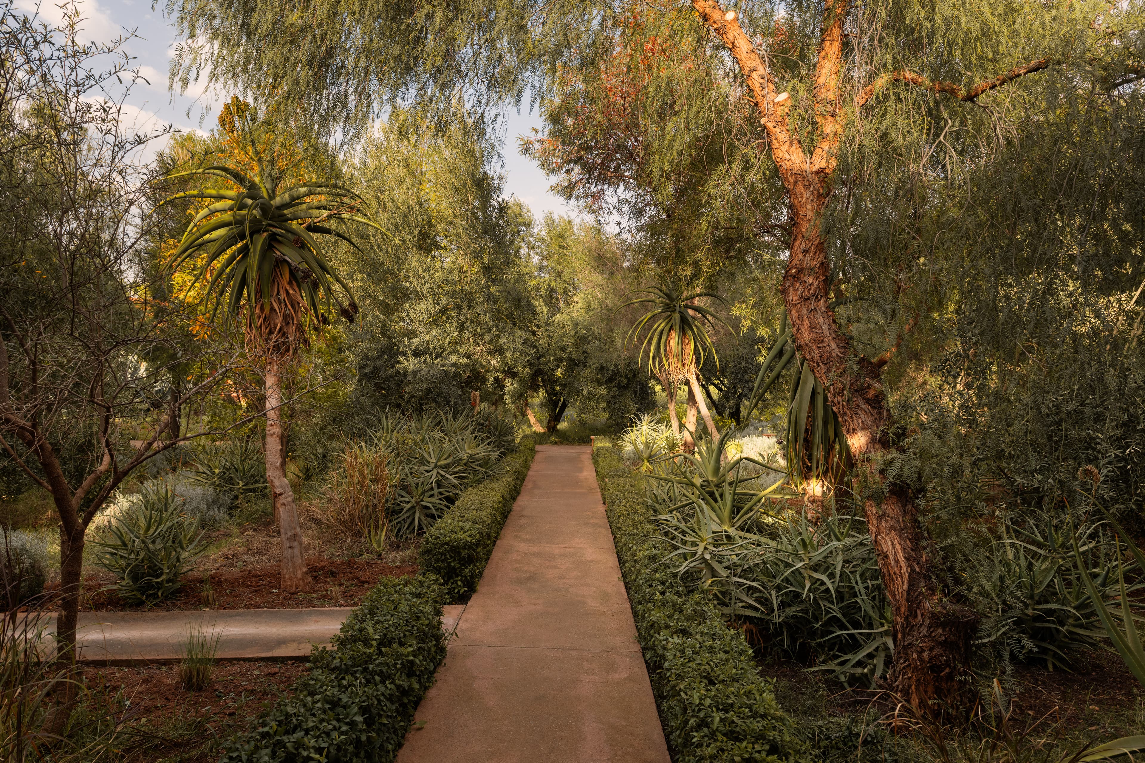 /features/garden/garden-6.jpg