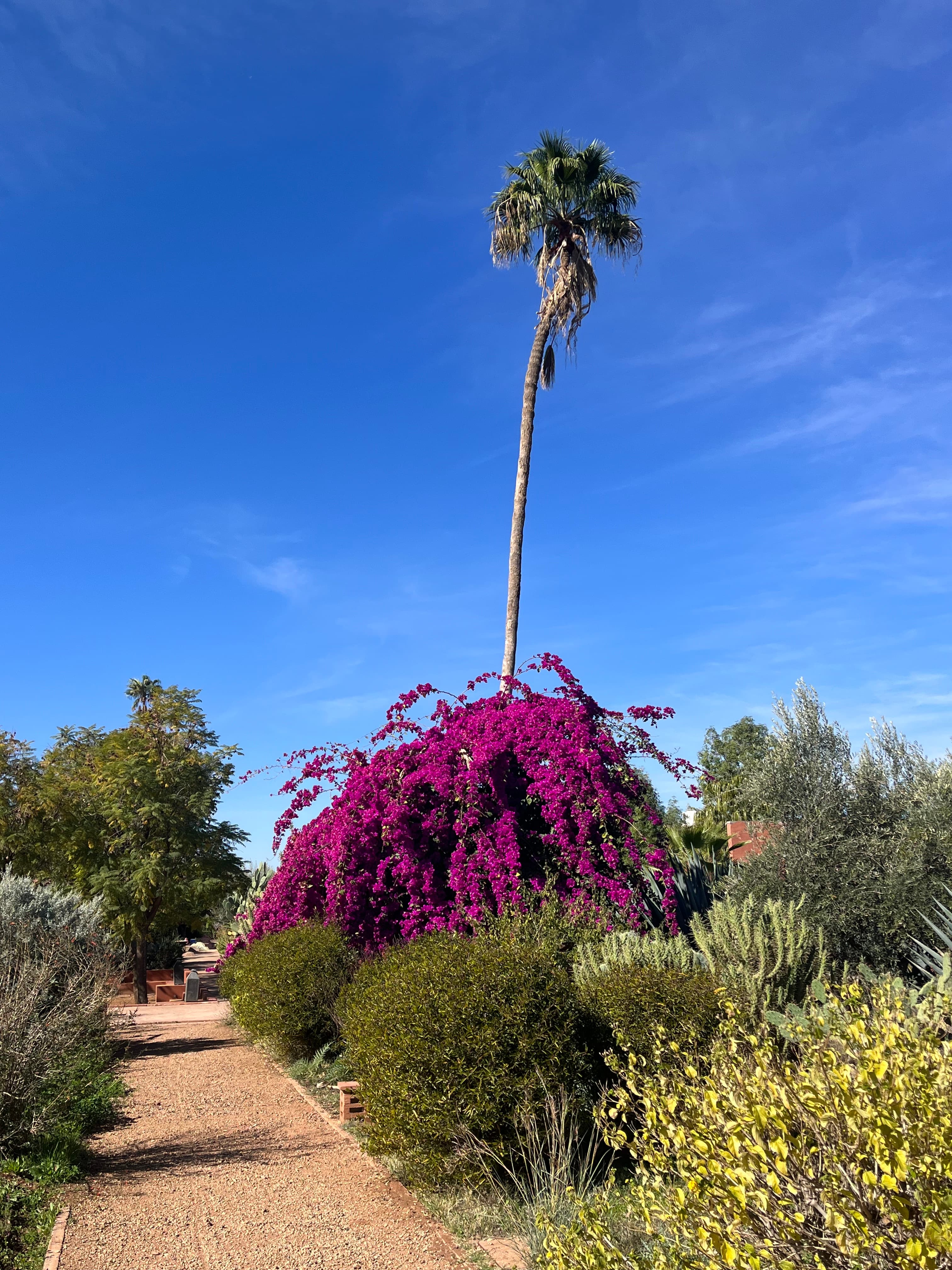 /features/garden/garden-7.jpg